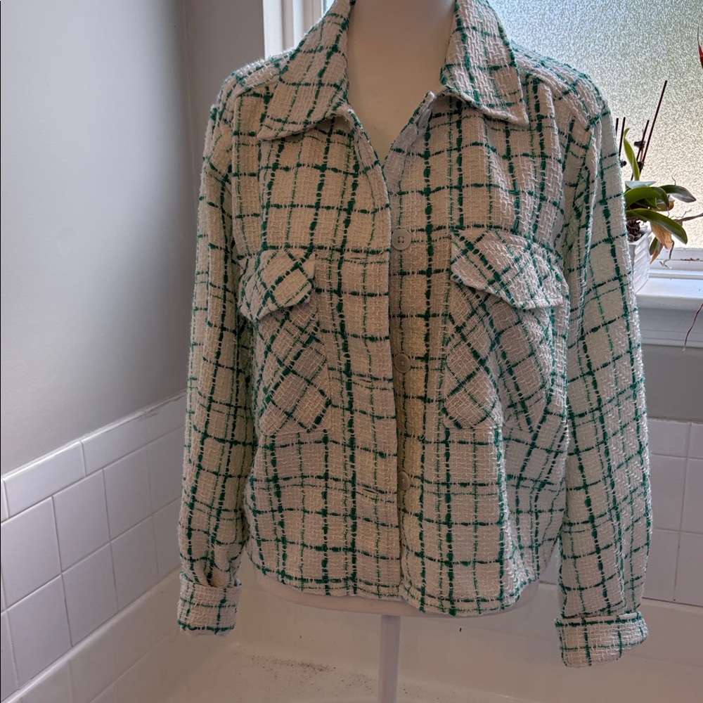 Express Plaid Blazer in White and minty  Green